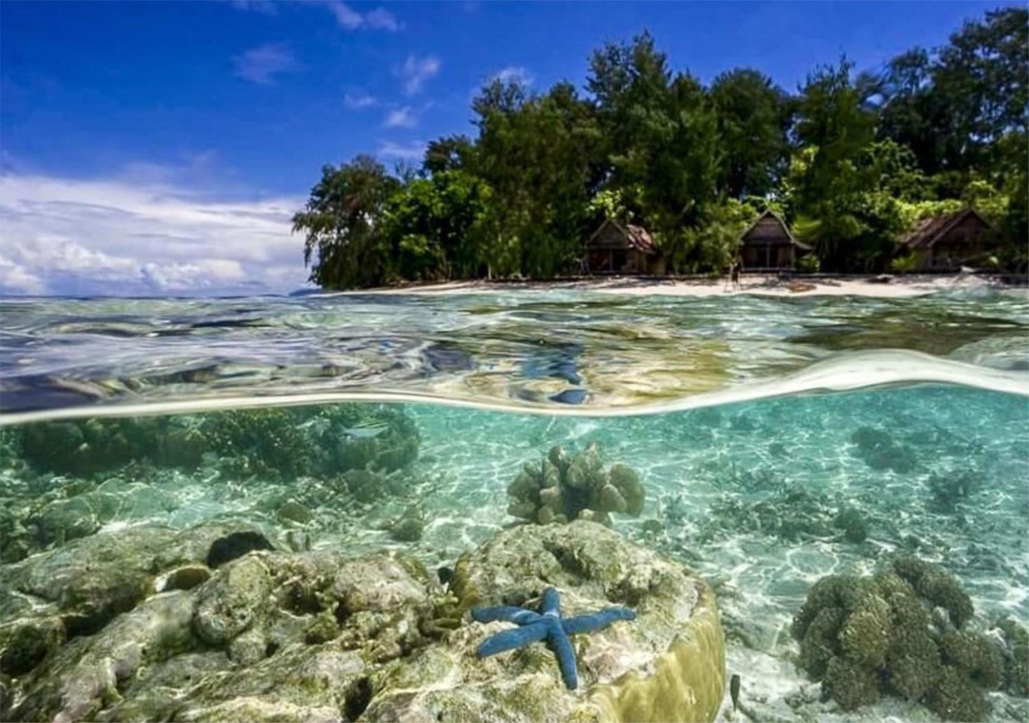 Wai Resort - Raja Ampat Pulau Birie Esterno foto